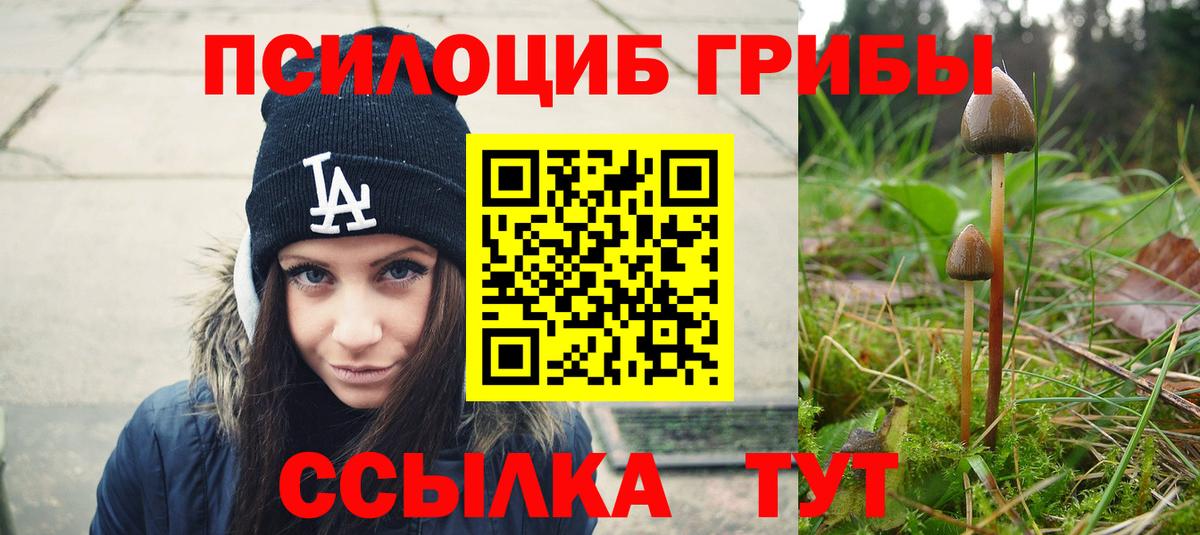 Учалы  Галлюциногенные грибы мухоморы  Псилоцибиновые грибы Psilocybe  Вход с VPN 